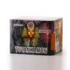 TUTANKAMON ART ALLEVI FIREWORKS
